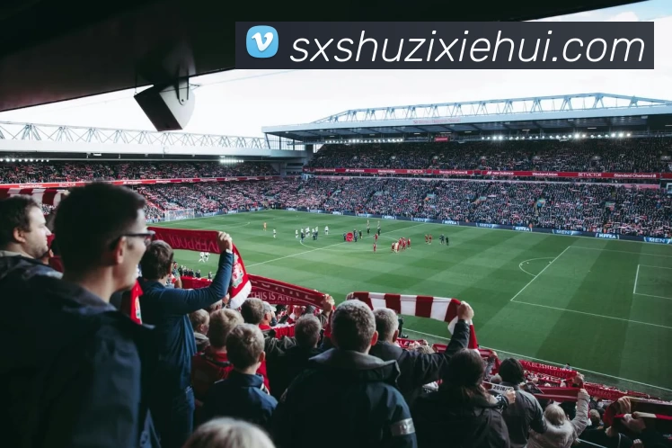 华体会官网发展历程